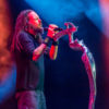 jonathan davis korn